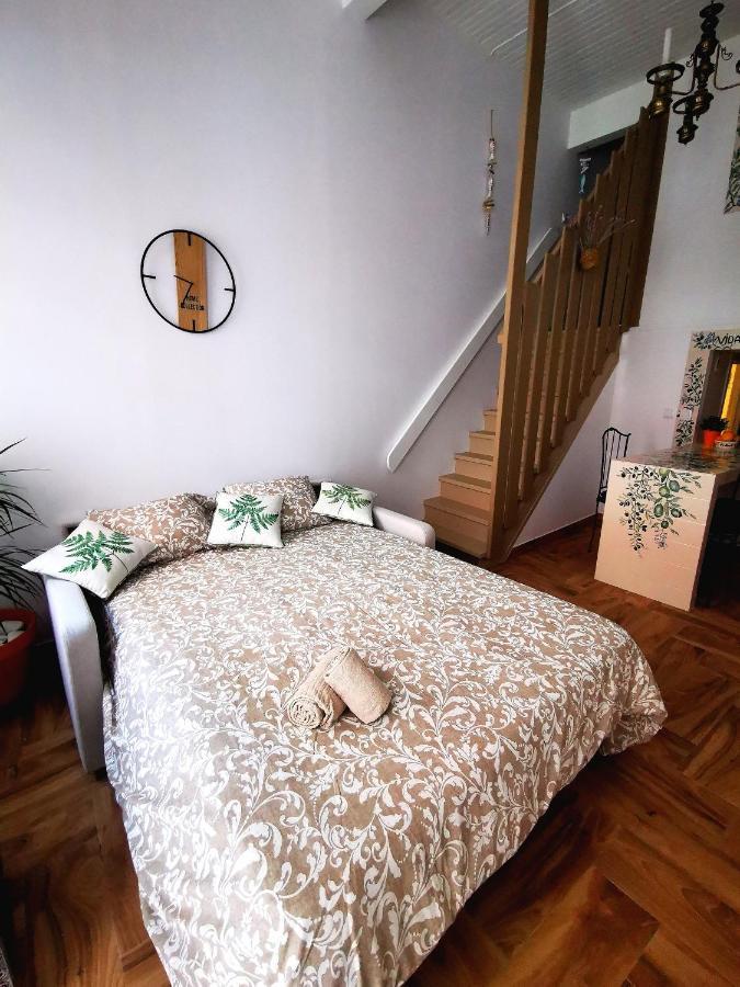 Charming Portuguese Style Apartment, For Rent "Vida A Portuguesa", "Fruta Or Polvo" Alojamento Local 포티마오 외부 사진
