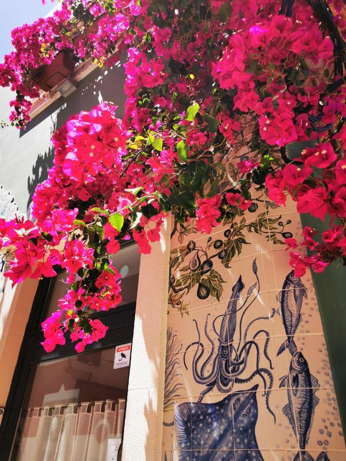 Charming Portuguese Style Apartment, For Rent "Vida A Portuguesa", "Fruta Or Polvo" Alojamento Local 포티마오 외부 사진