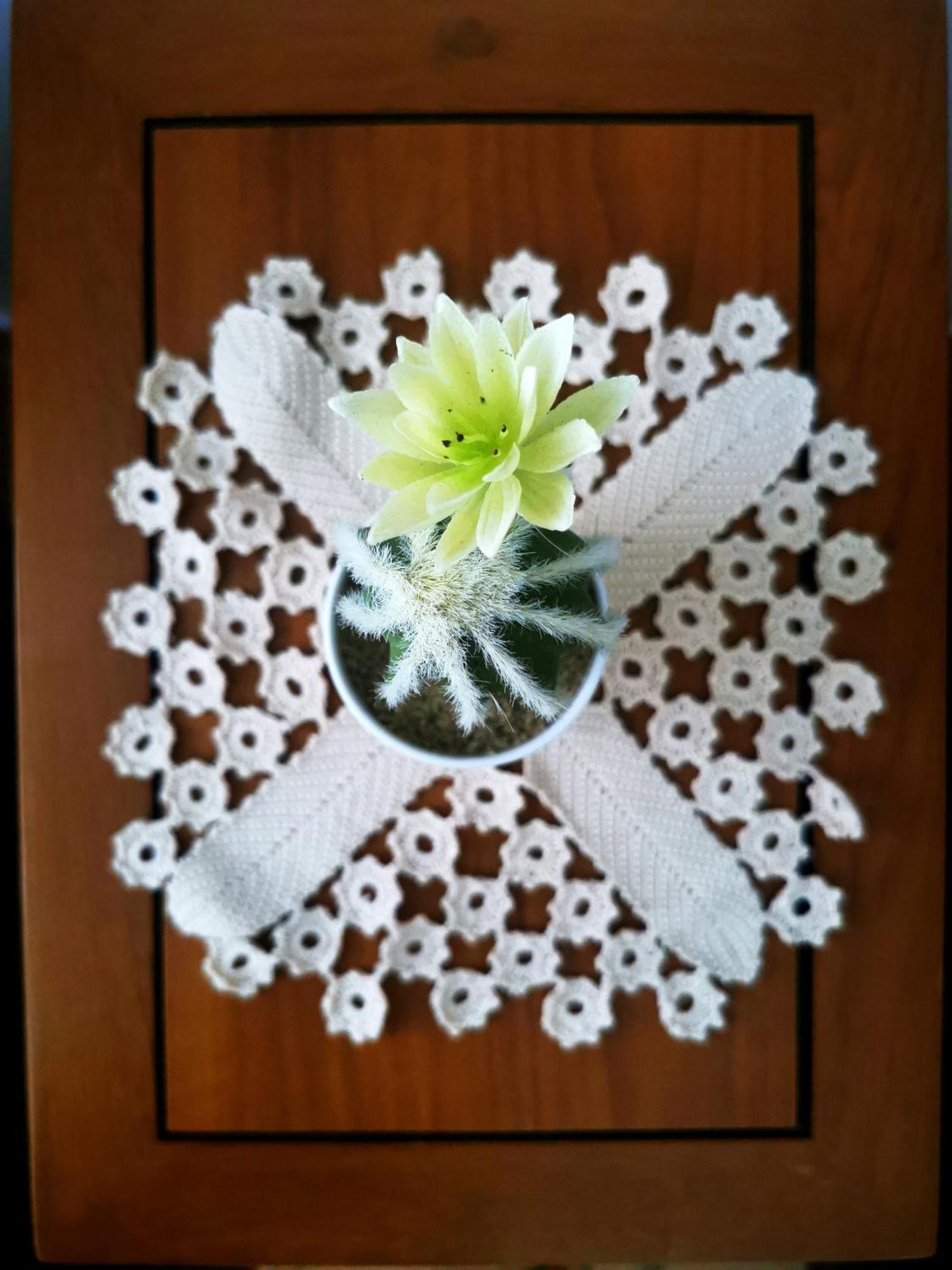 Charming Portuguese Style Apartment, For Rent "Vida A Portuguesa", "Fruta Or Polvo" Alojamento Local 포티마오 외부 사진